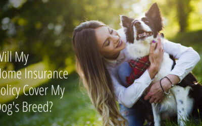 Will My Home Insurance Policy Cover My Dog’s Breed?