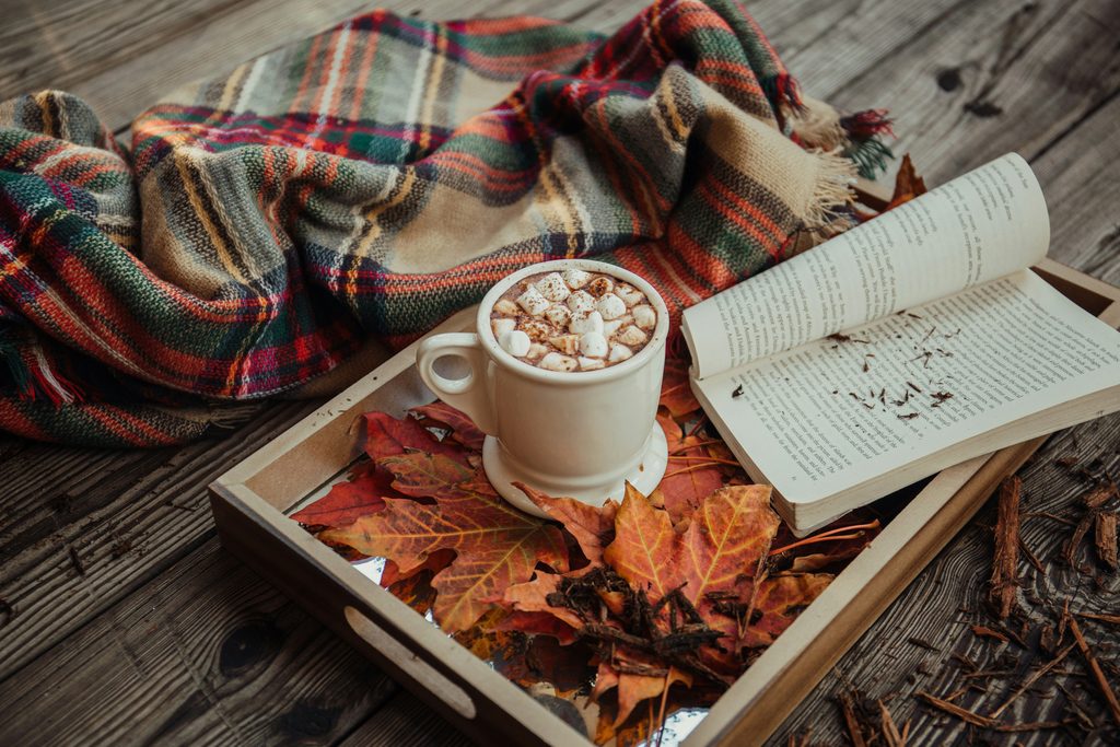 Unsplash Fall Image