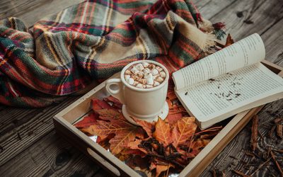 First Day of Fall Insurance Checklist: 5 Things Illinois Homeowners Should Review